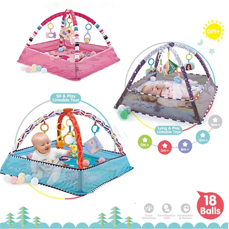 Enclosed Activity Gym